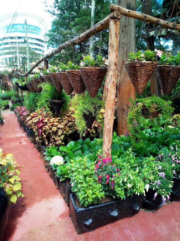 A plant nursery belonging to Crystal Gardens
