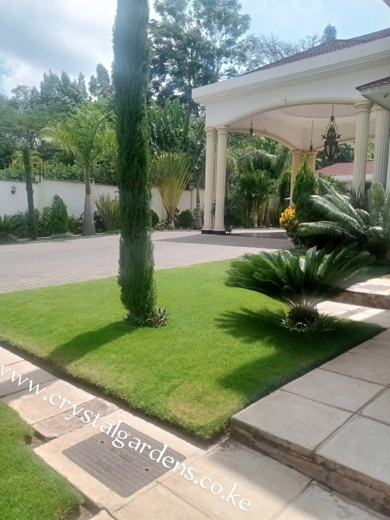 Landscaped garden