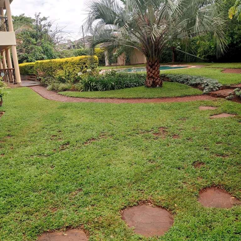 Lawn pests and disease damage