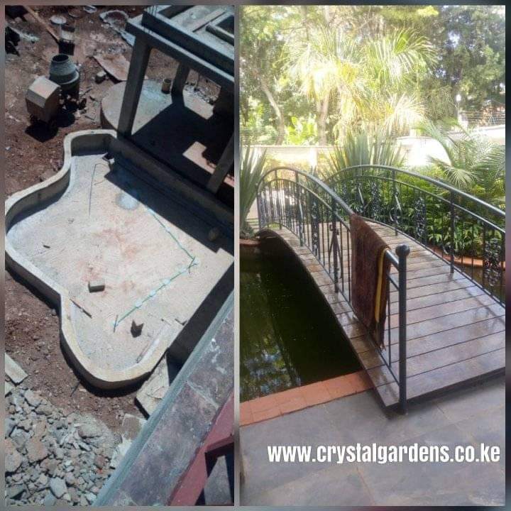 Water feature: Pond at house entrance