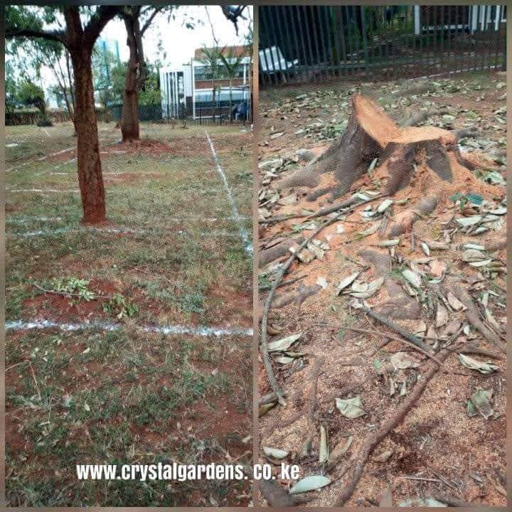 Proposed Parking before