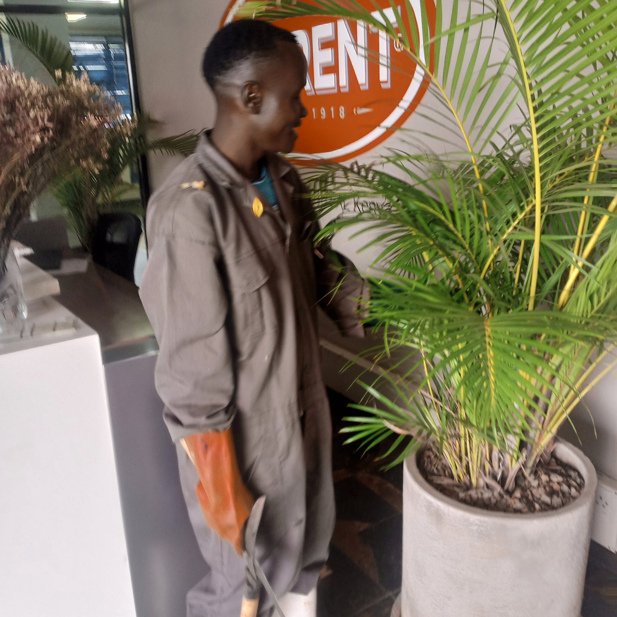 Attending to office pants