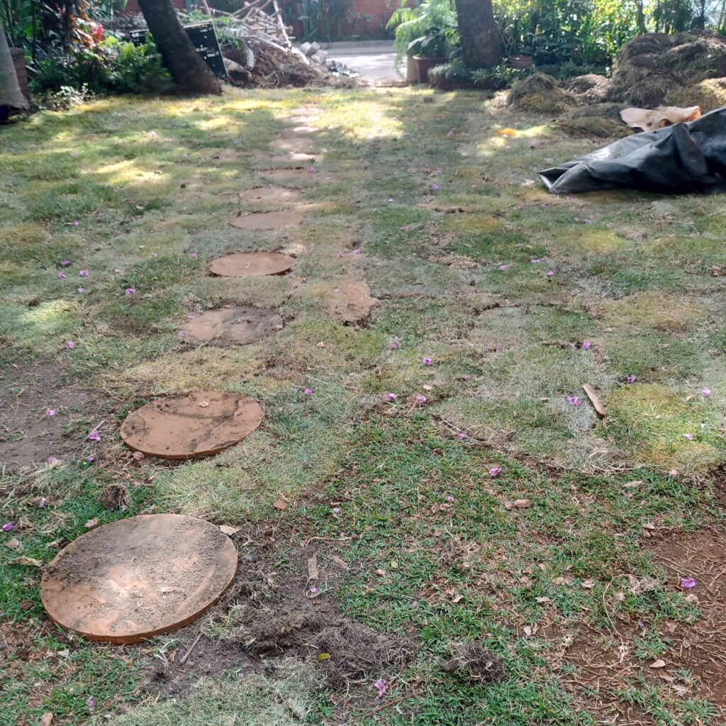 Before-Despoiled lawn