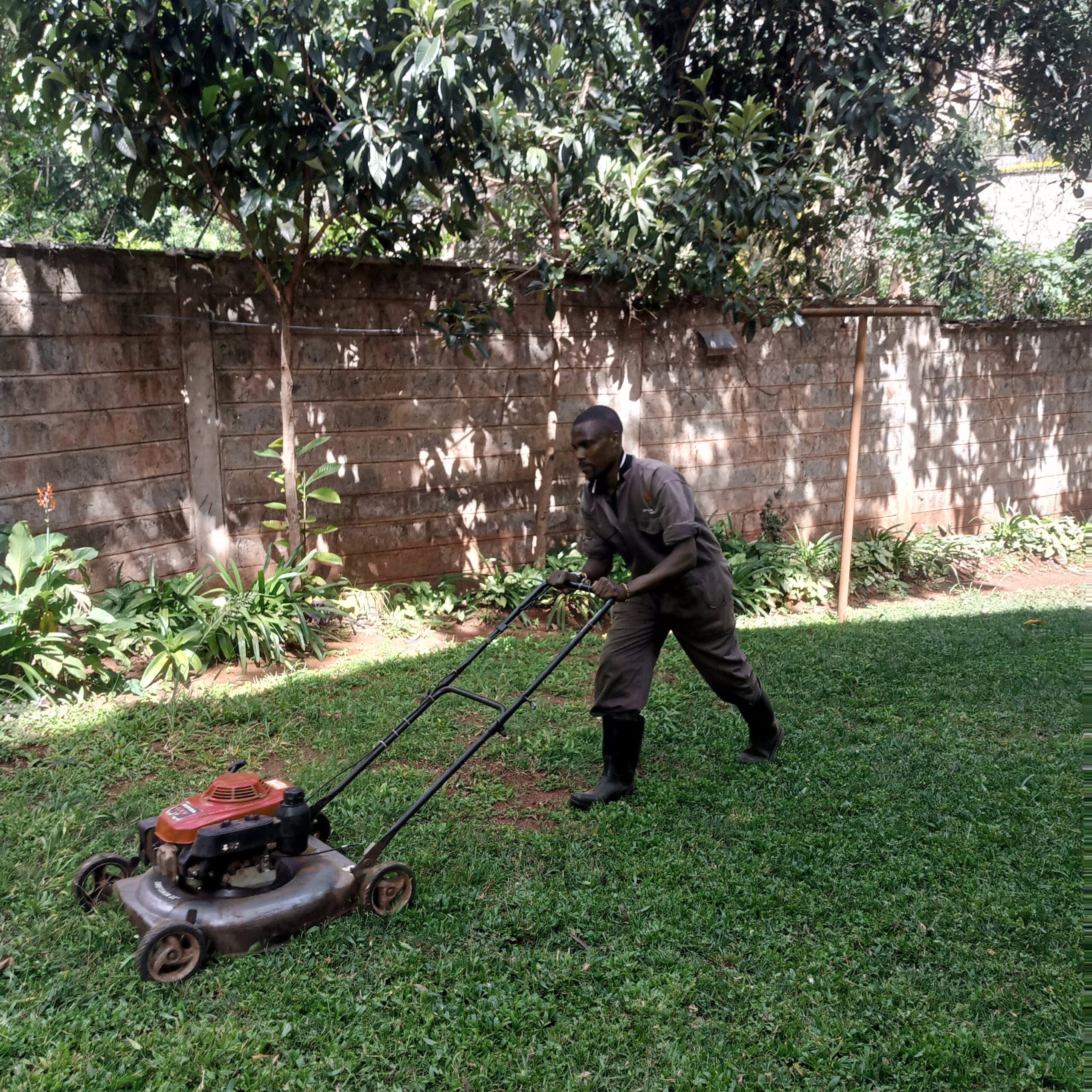 Lawn mowing