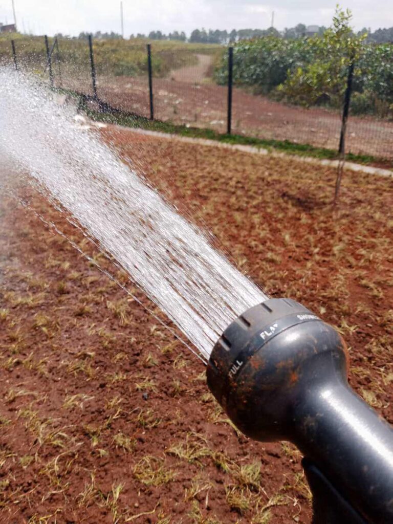 Irrigating  a garden