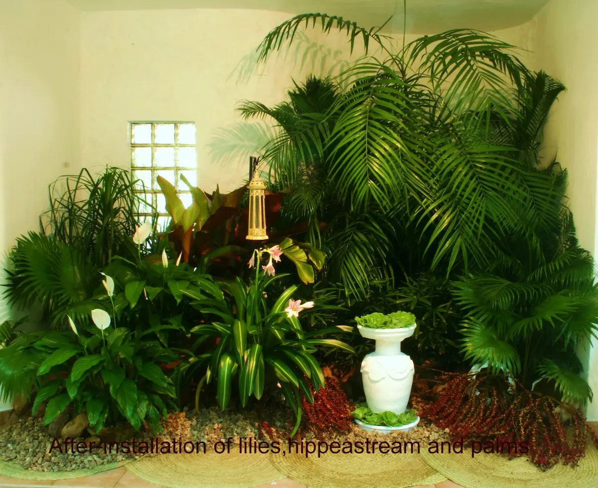 After-Front Office with indoor plants