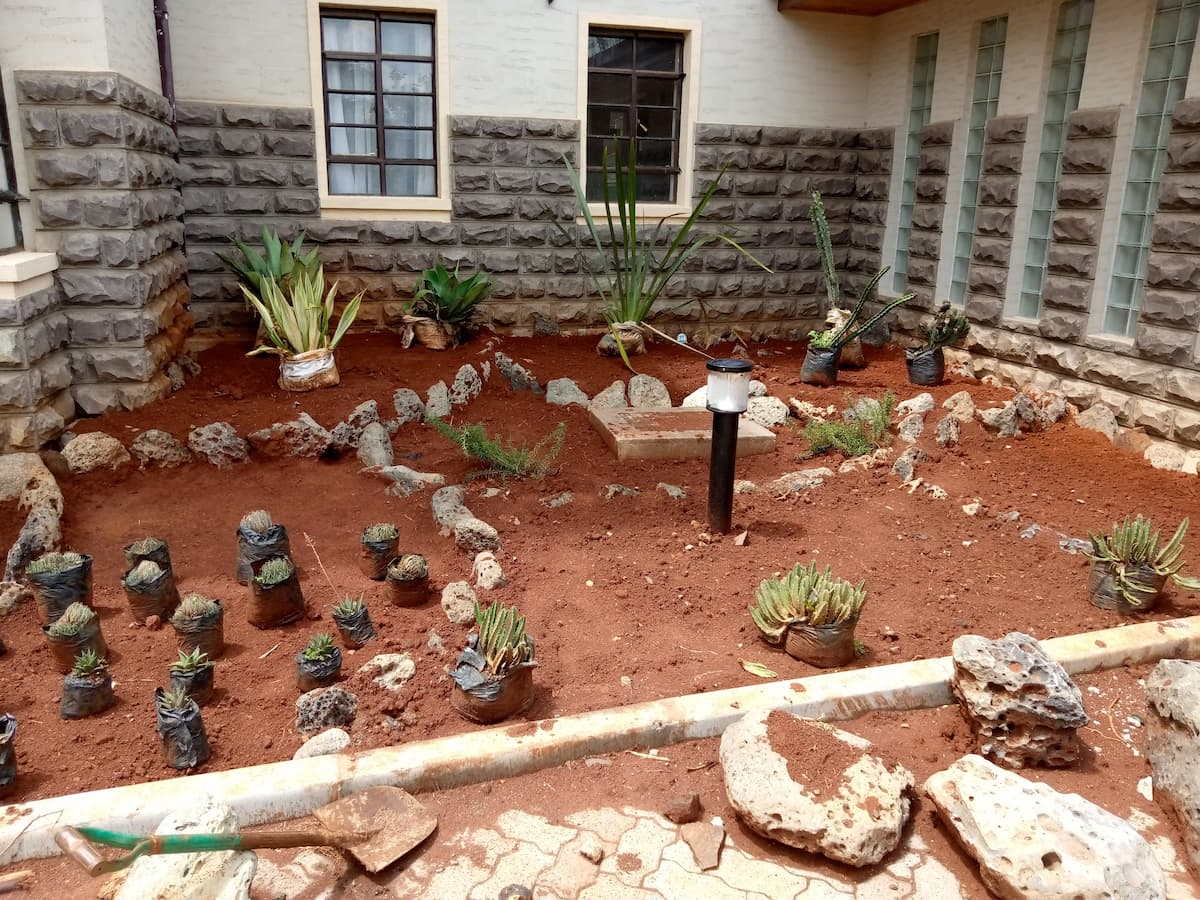 Rock garden -landscape