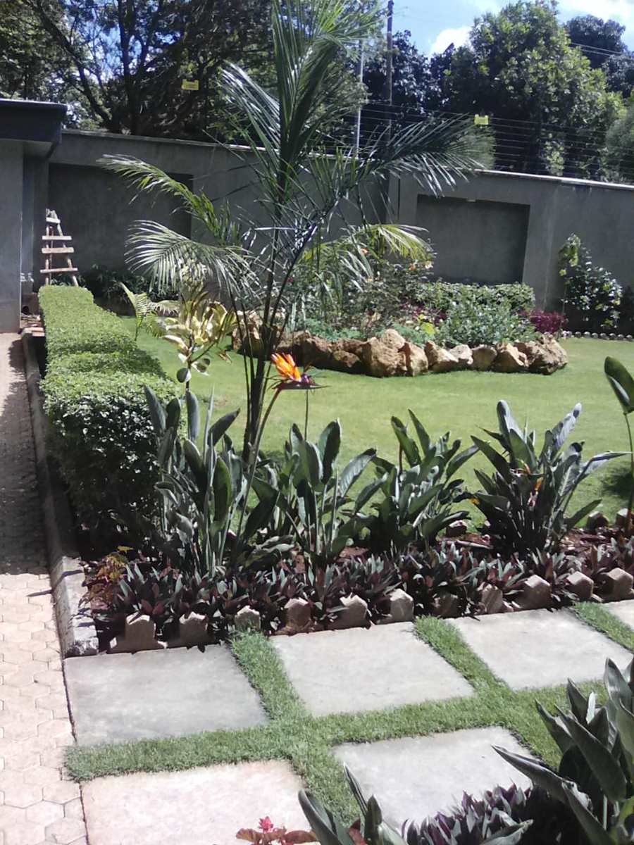 Mature garden