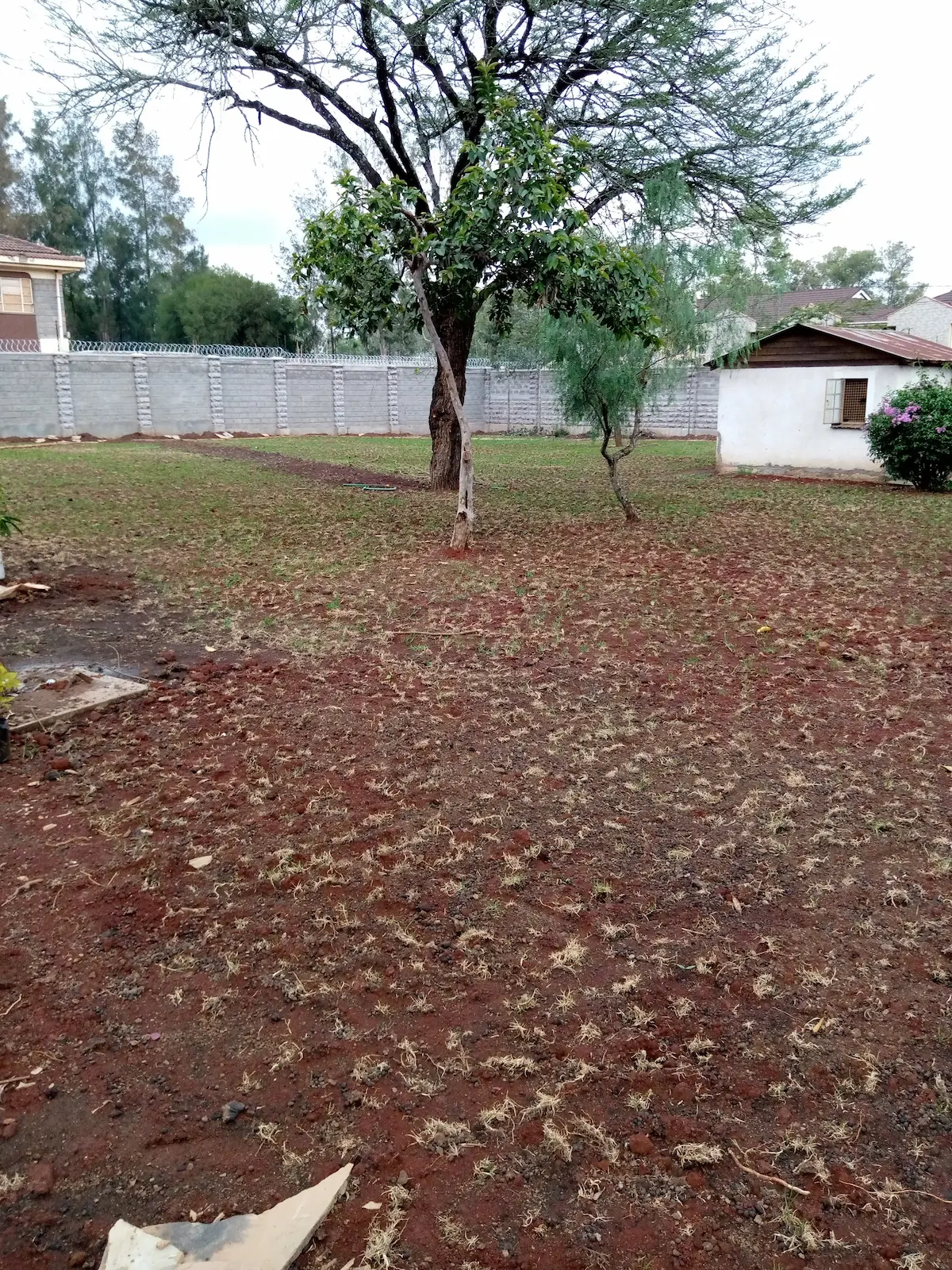 Before-Ground preparation