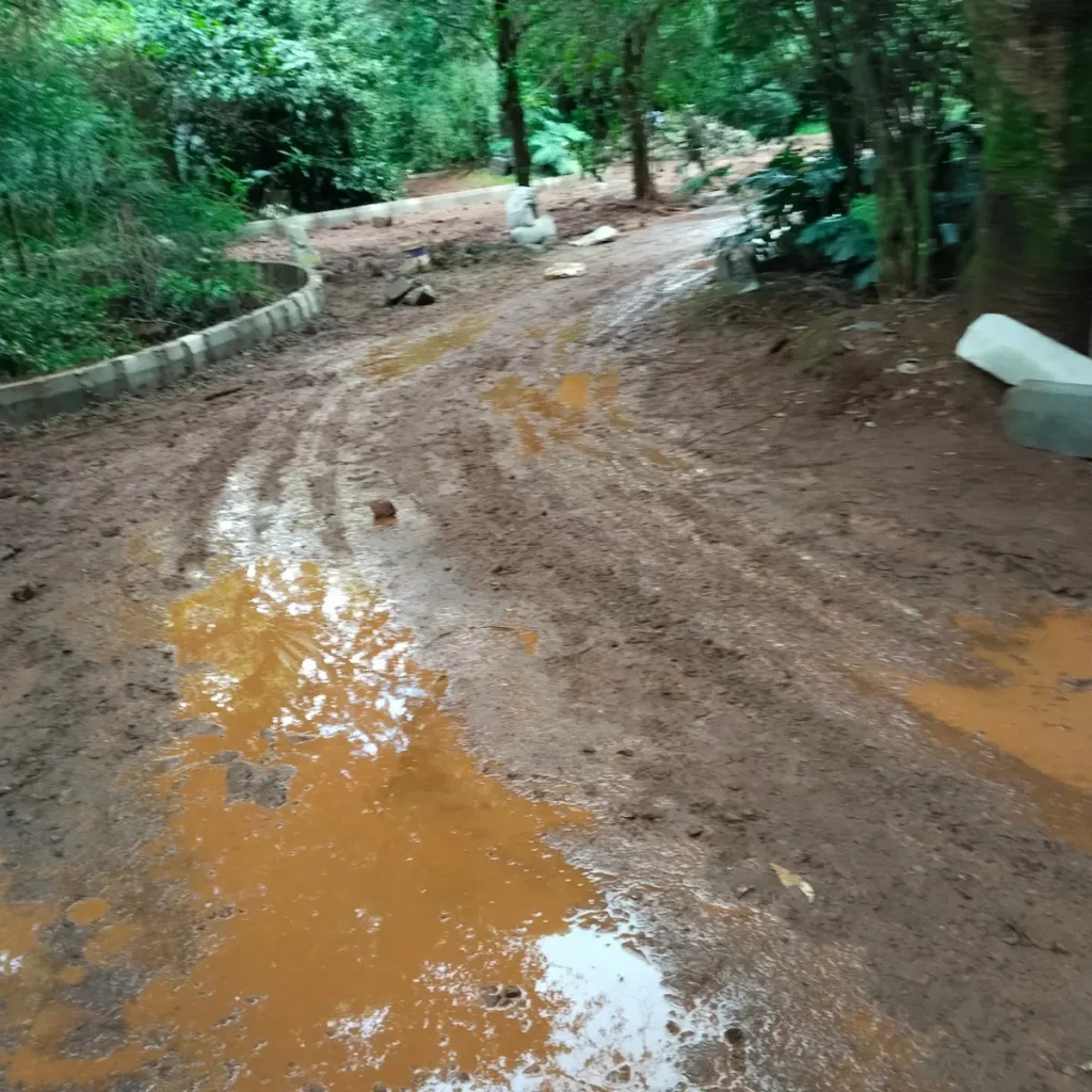 Drive way and parking before transformation
