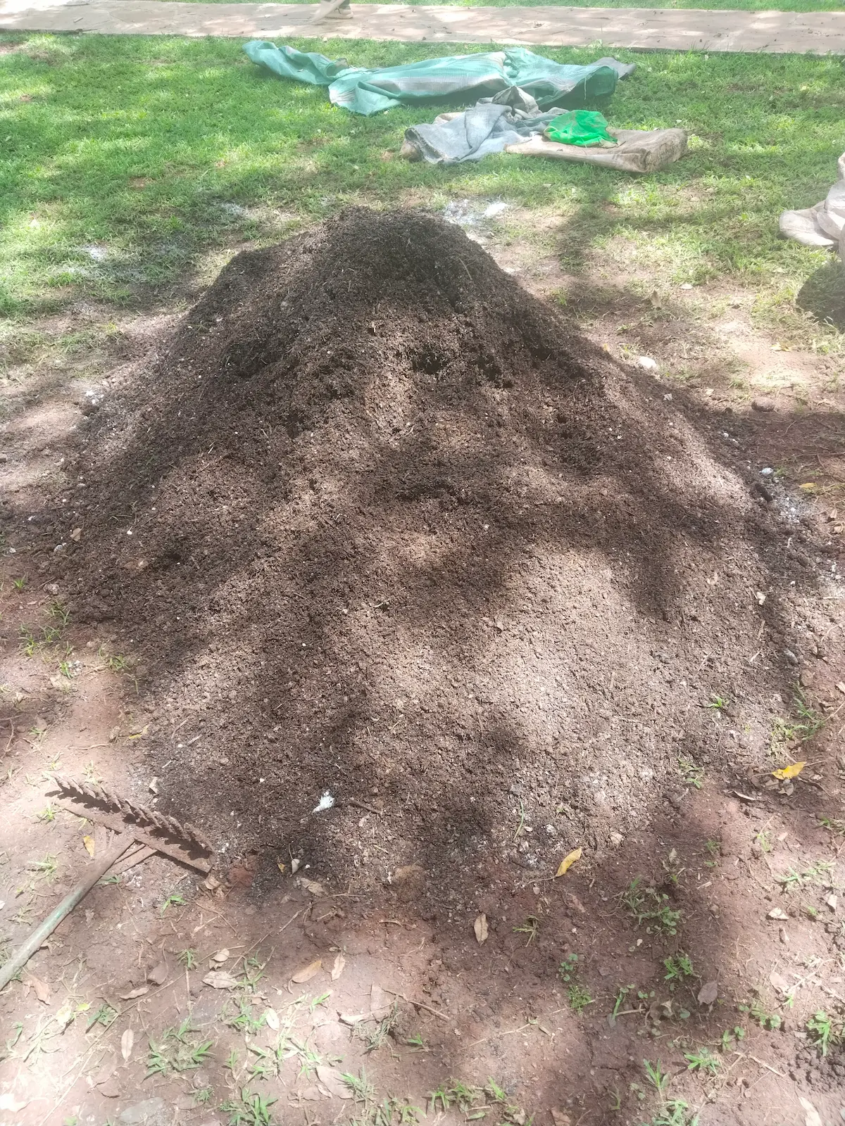 Organic fertilizers — compost, manure and natural amendments